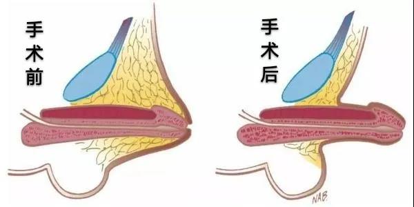 泌尿外科(kē)8.jpg