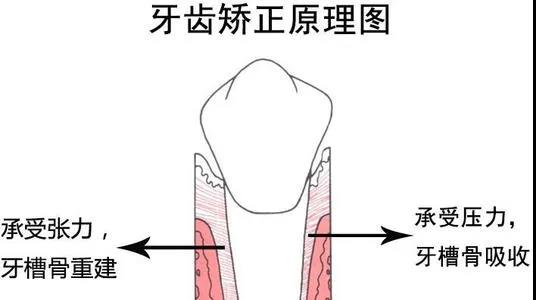 大咖來了！三甲名(míng)院正畸專家本周日親診坐(zuò)鎮9.jpg